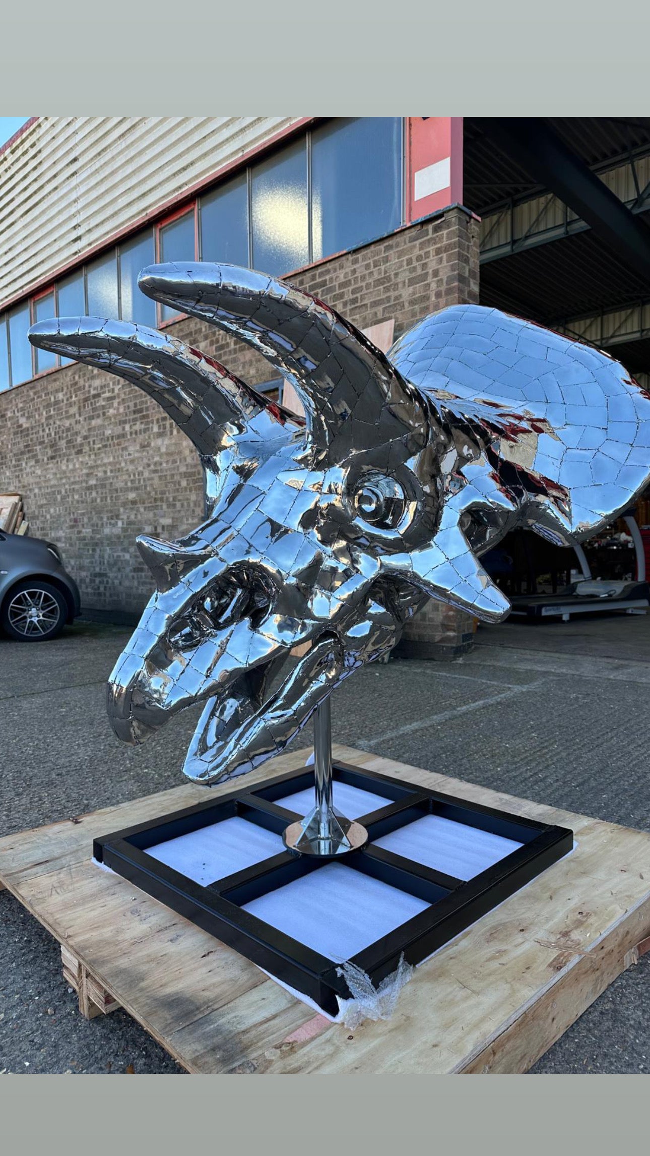 “Art Paris” sculpture, one of a kind, triceratops skull
