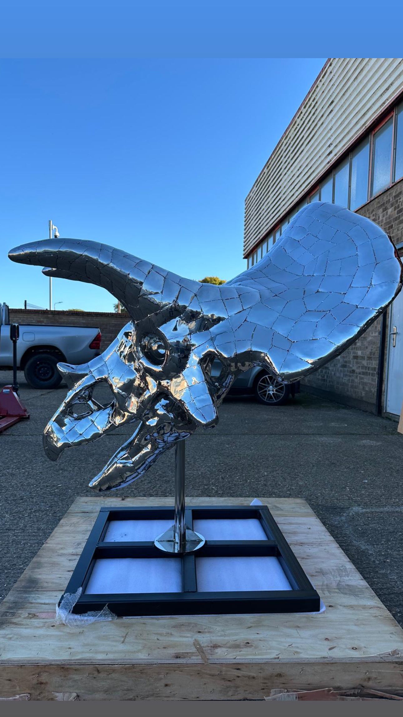 “Art Paris” sculpture, one of a kind, triceratops skull