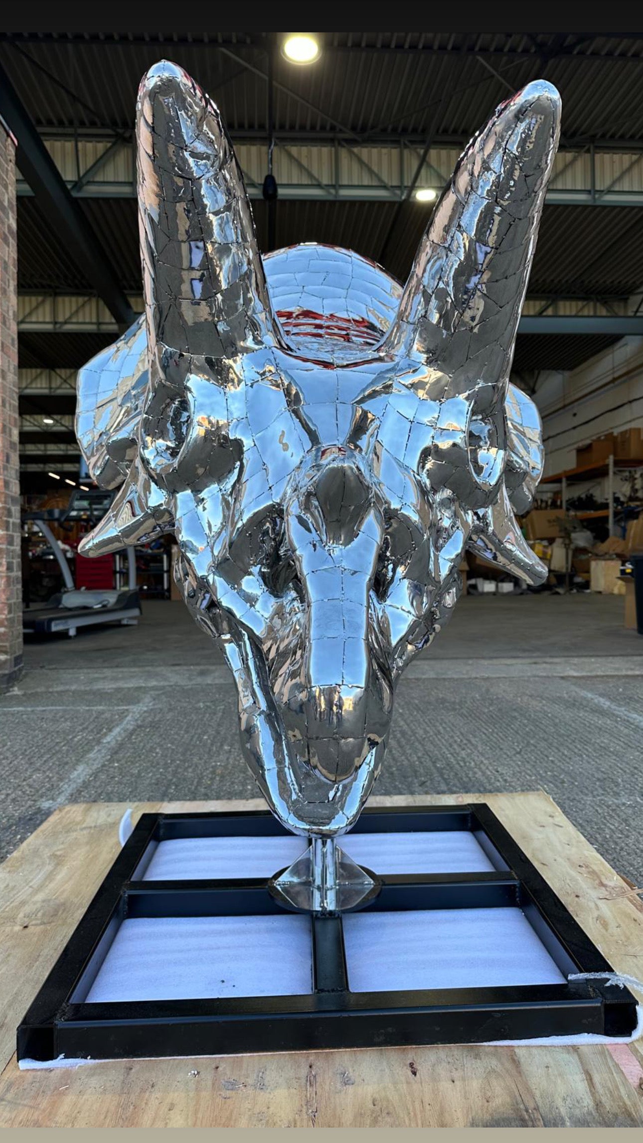 “Art Paris” sculpture, one of a kind, triceratops skull