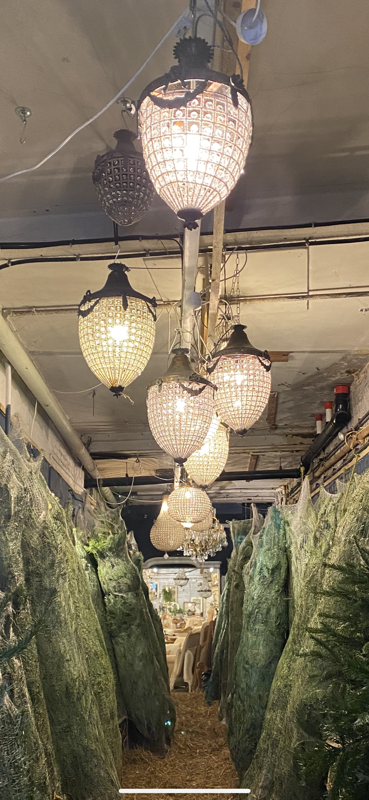 X2 acorn chandeliers