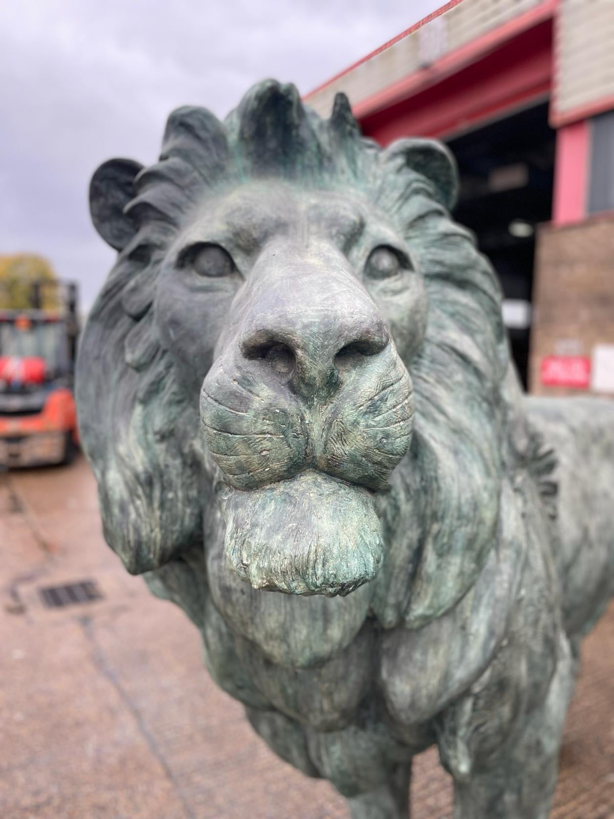 Huge, pair of antique bronze lions from Italy