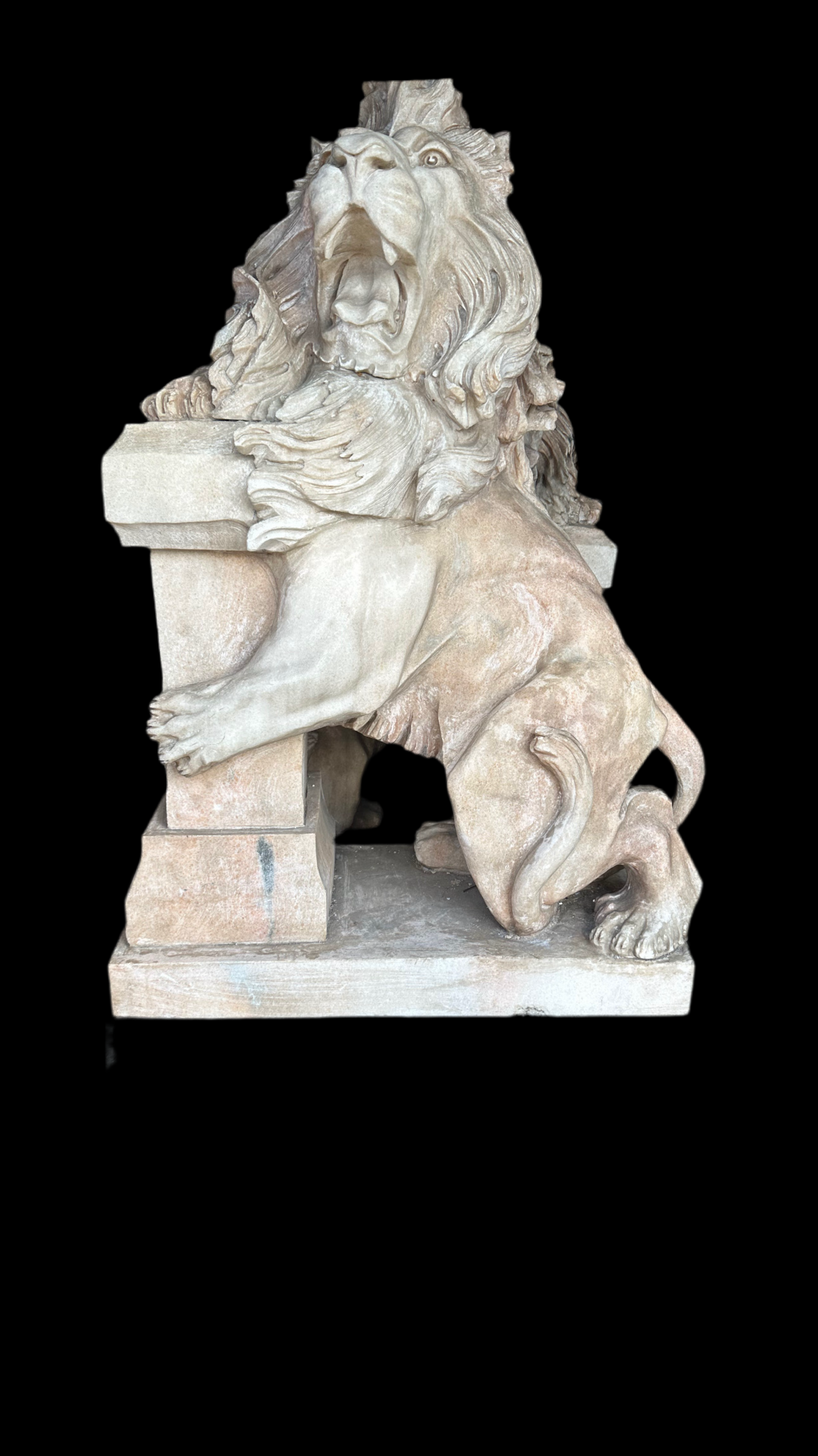 Pair of, Italian marble lions Earley 1900’s, with marble plinths (priced individually)