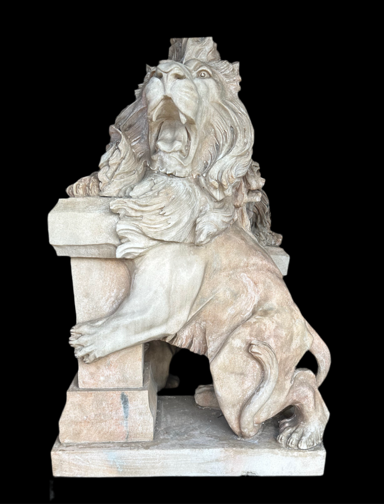 Pair of, Italian marble lions Earley 1900’s, with marble plinths (priced individually)