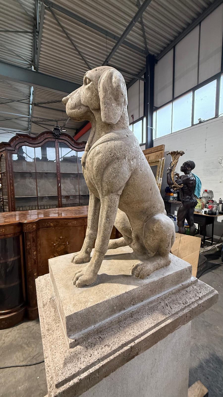 Pair of original, solid stone, early 1900’s, sitting dogs on plinths