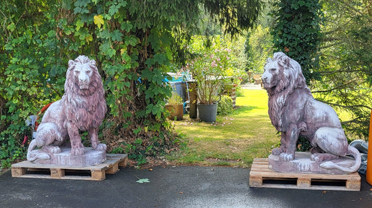 Pair of Italian limestone lions from early 1900’s 4.5ft tall