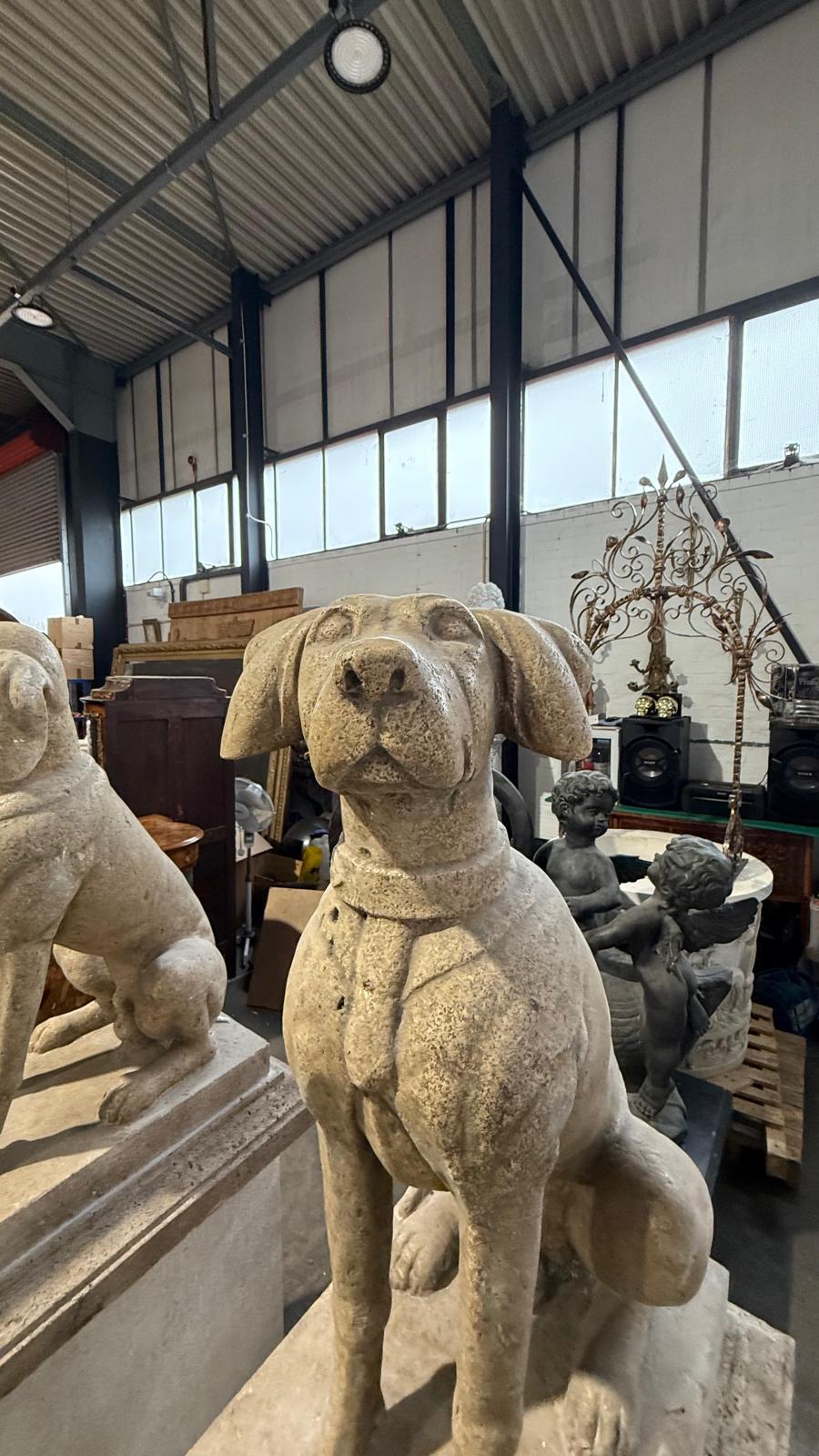 Pair of original, solid stone, early 1900’s, sitting dogs on plinths