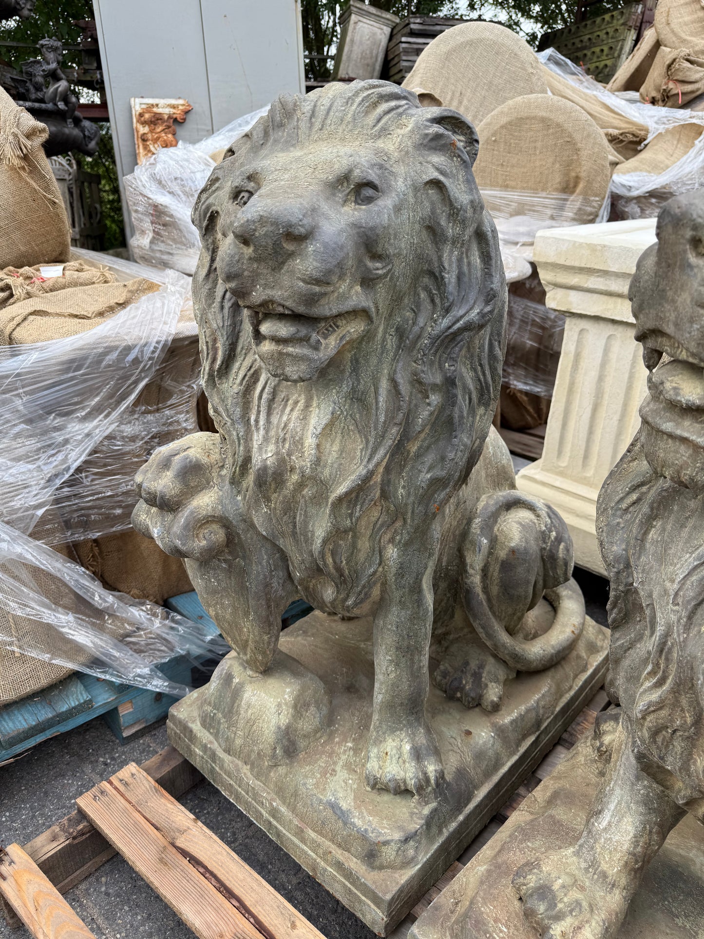 Pair of beautiful bronze lions standing 3.5ft tall