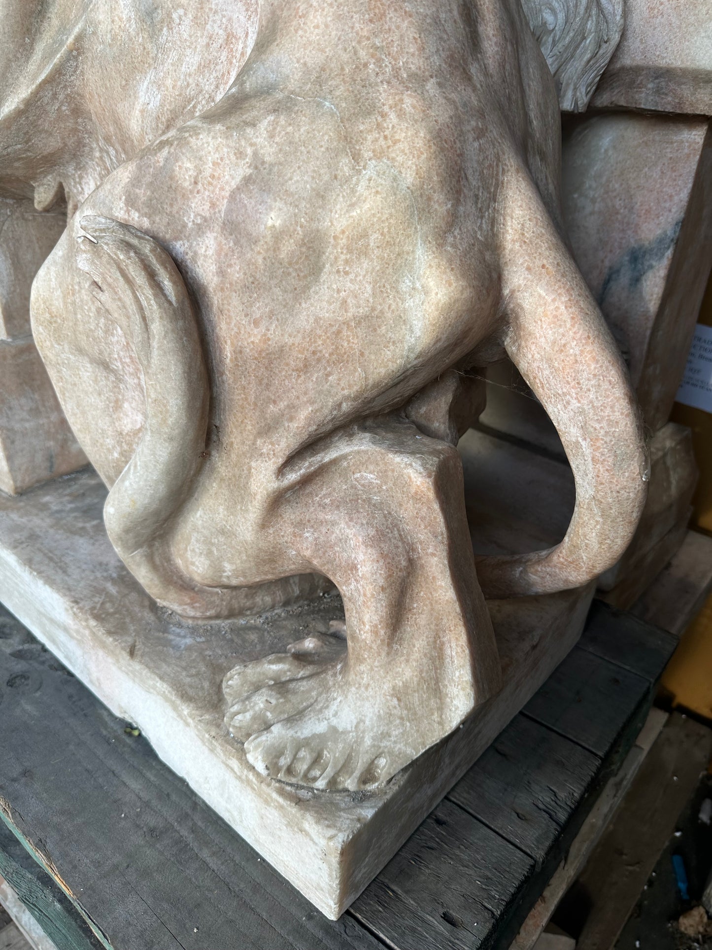 Pair of, Italian marble lions Earley 1900’s, with marble plinths (priced individually)