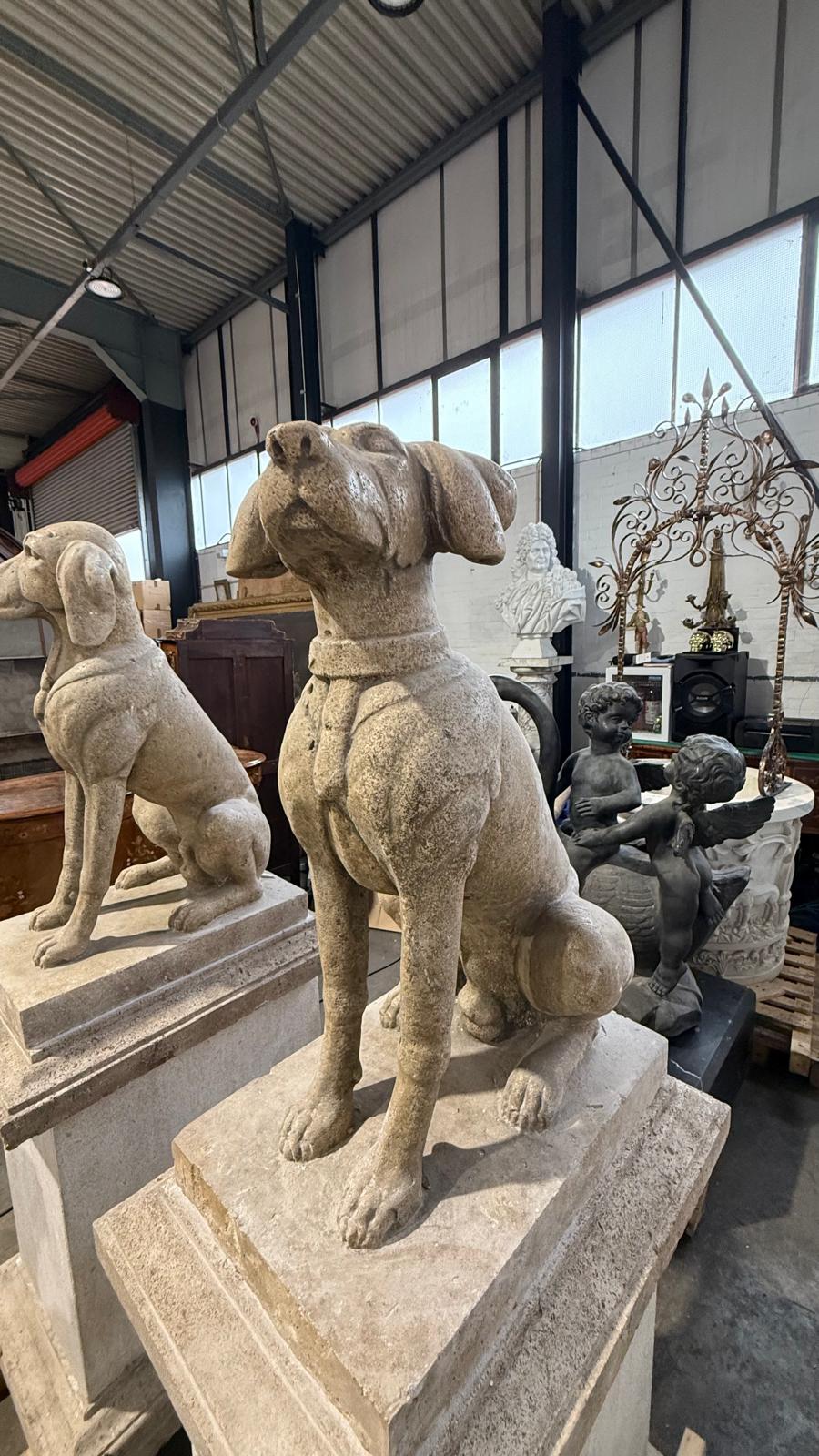 Pair of original, solid stone, early 1900’s, sitting dogs on plinths