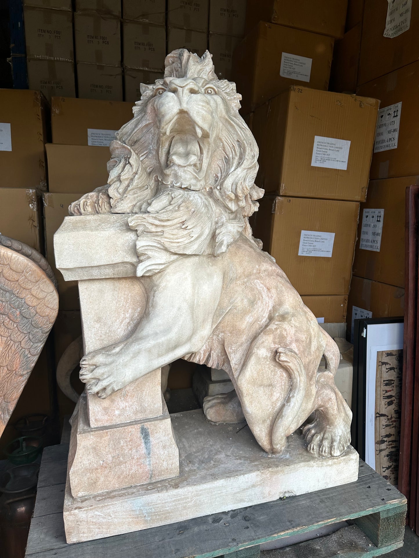 Pair of, Italian marble lions Earley 1900’s, with marble plinths (priced individually)