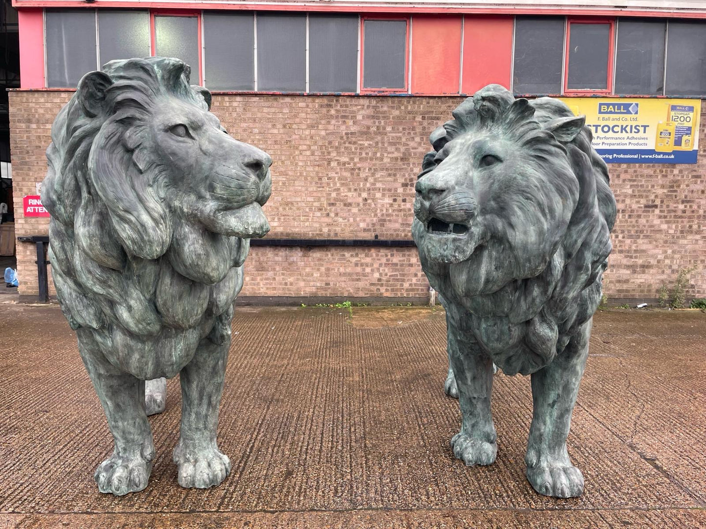 Huge, pair of antique bronze lions from Italy