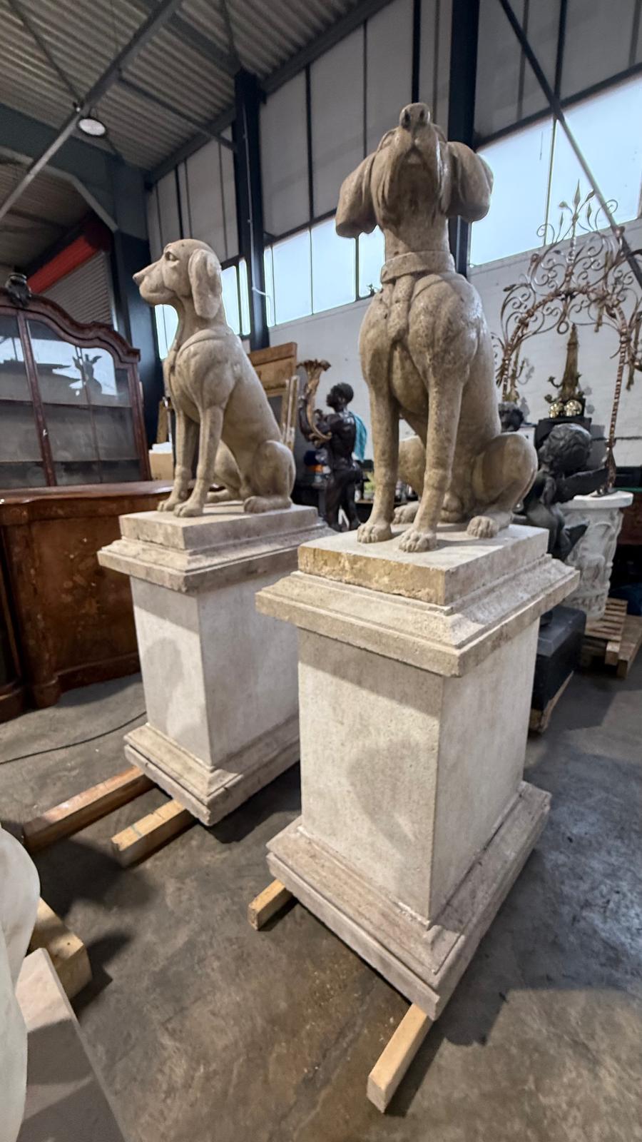 Pair of original, solid stone, early 1900’s, sitting dogs on plinths