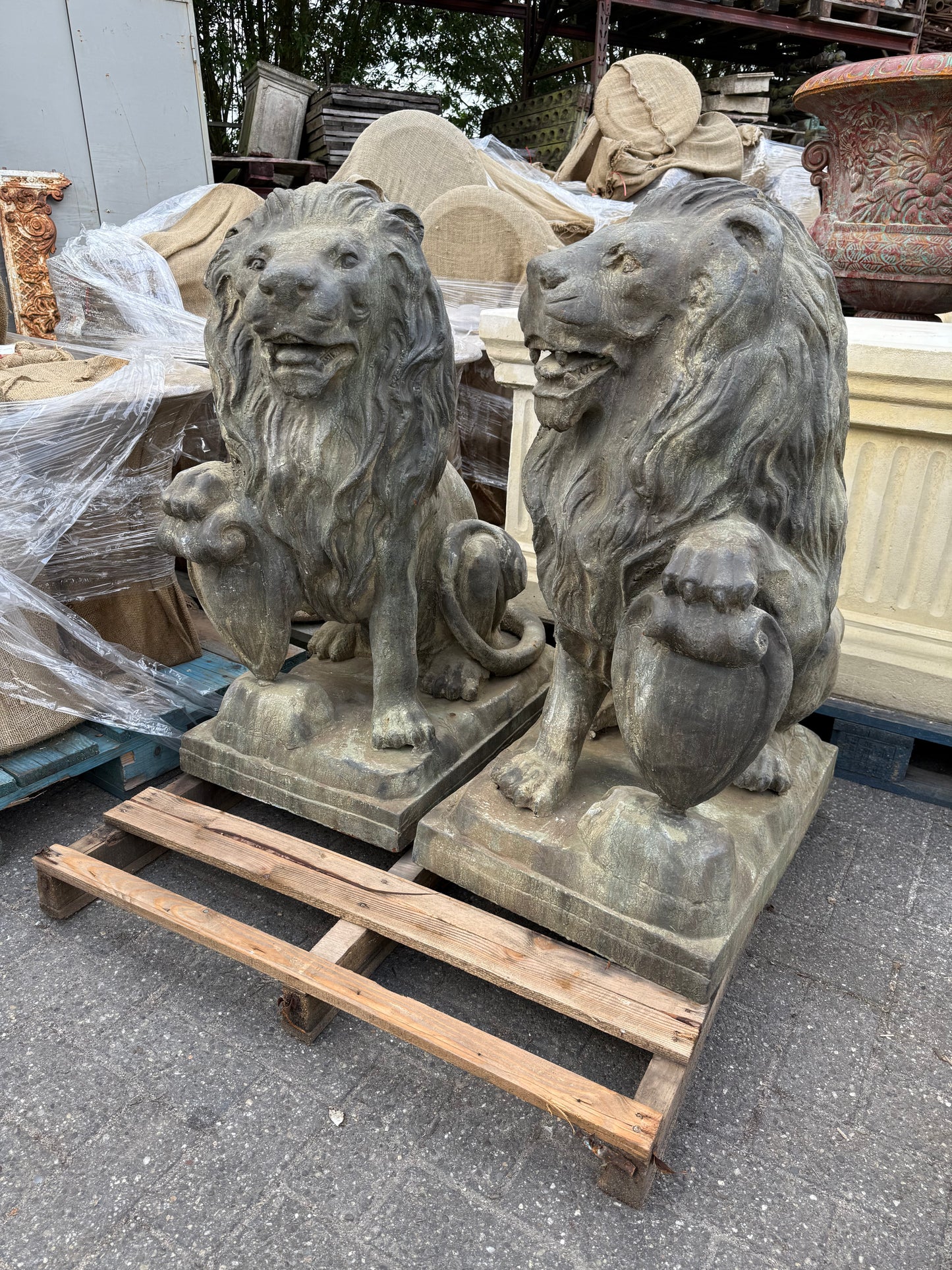 Pair of beautiful bronze lions standing 3.5ft tall