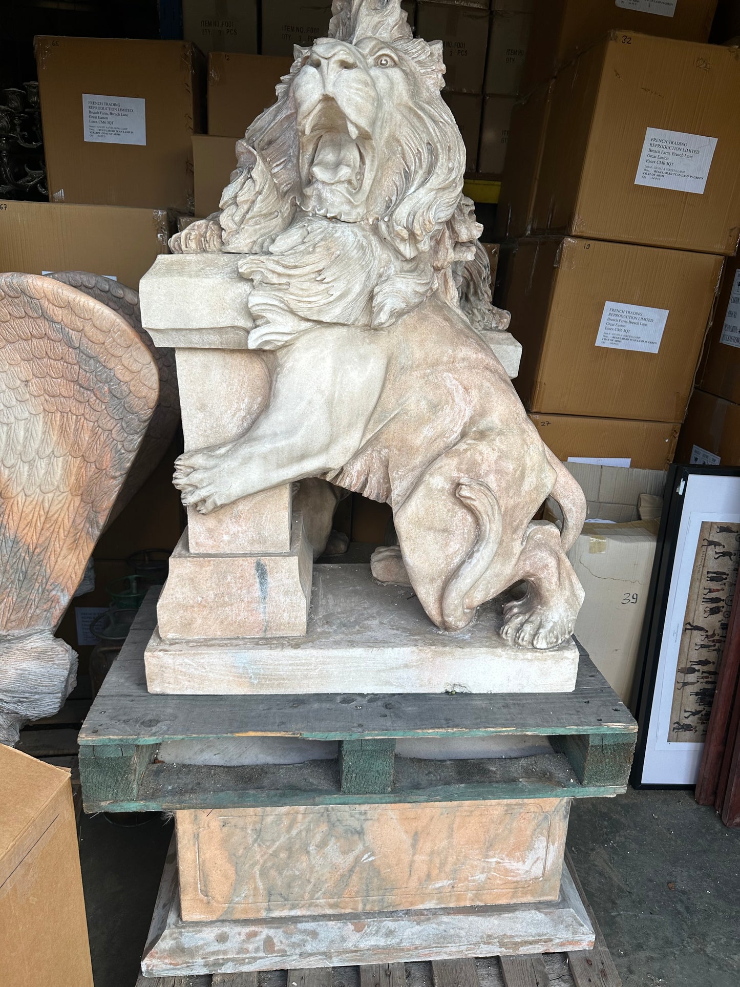 Pair of, Italian marble lions Earley 1900’s, with marble plinths (priced individually)