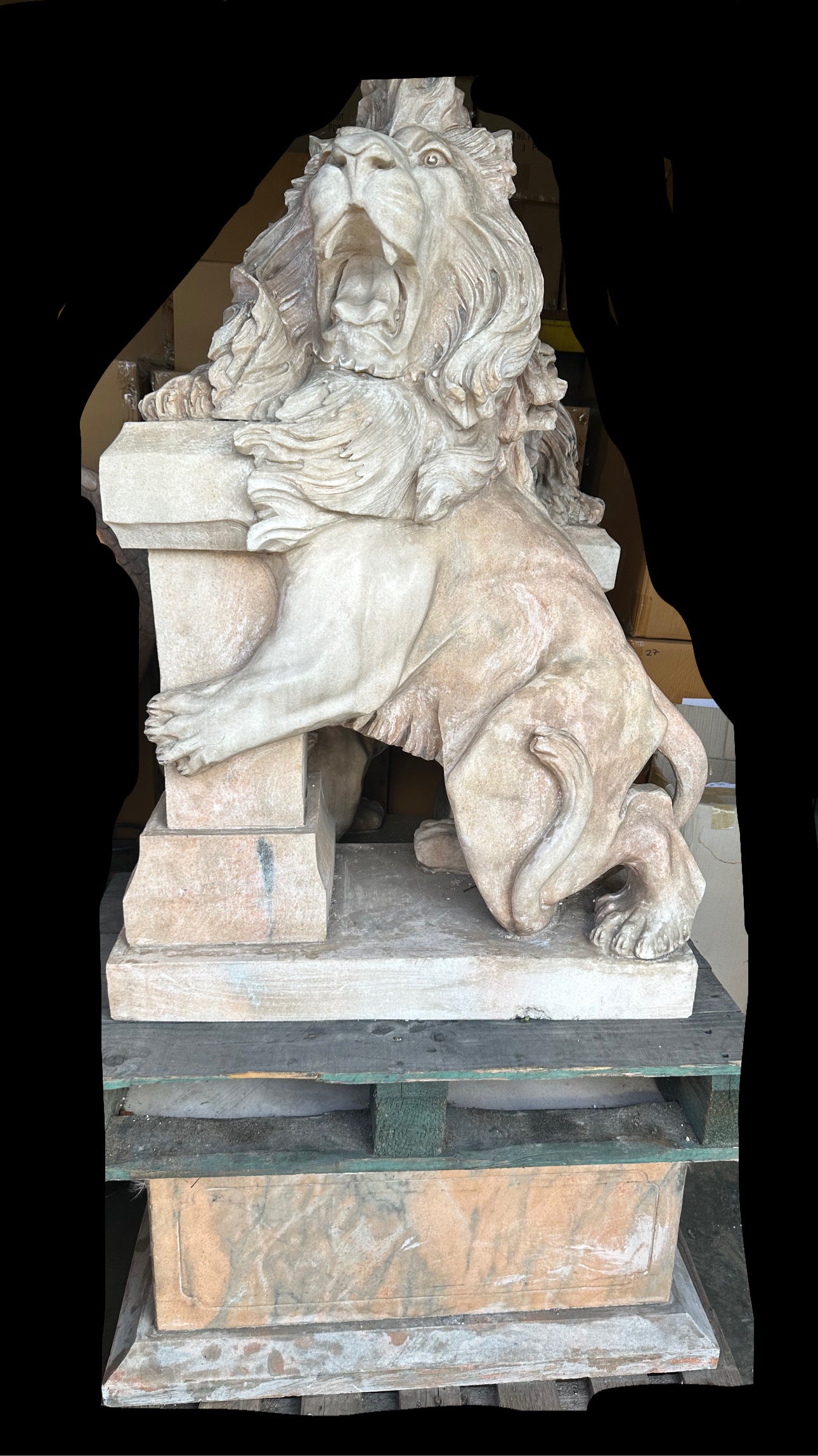 Pair of, Italian marble lions Earley 1900’s, with marble plinths (priced individually)