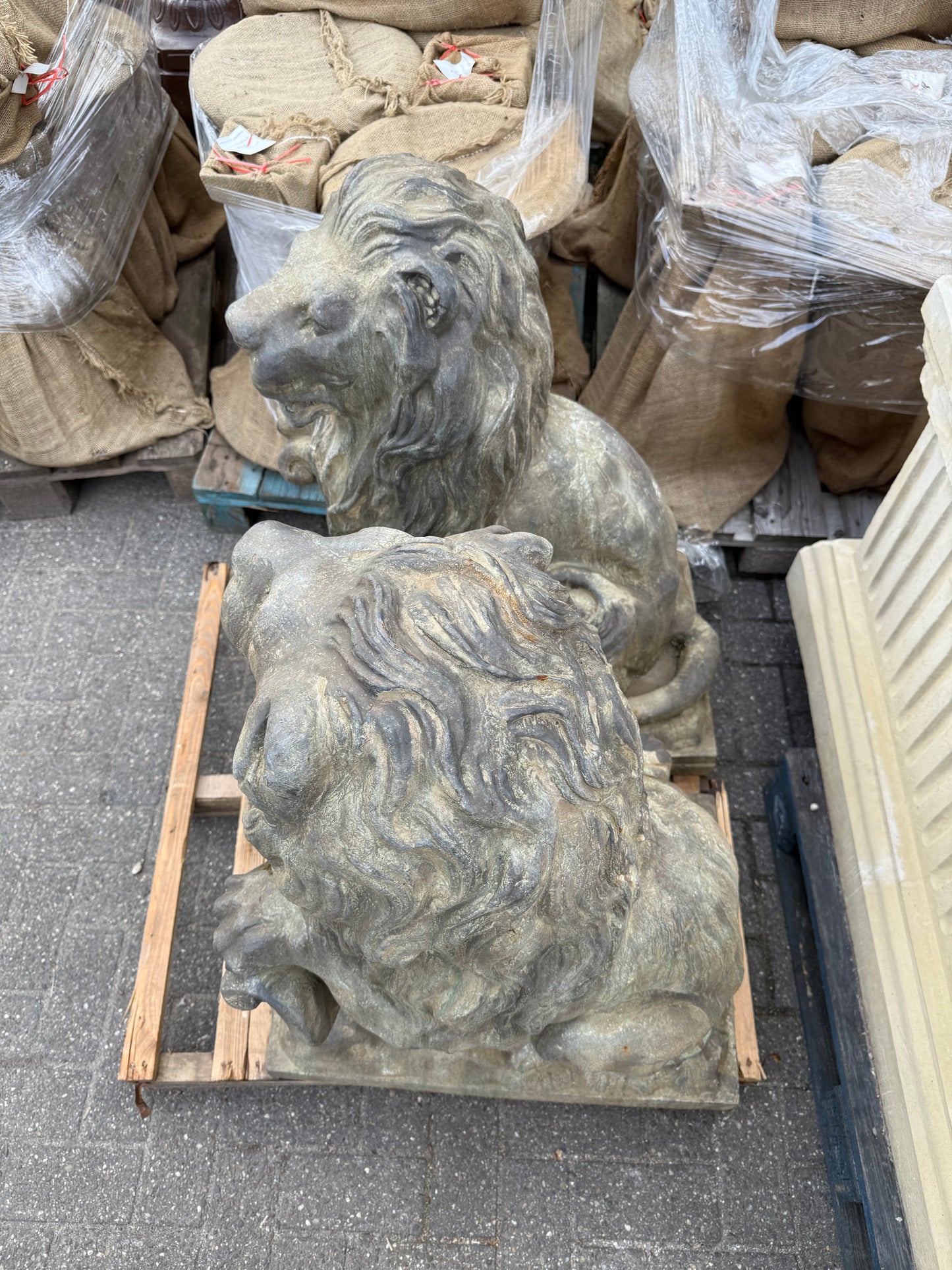 Pair of beautiful bronze lions standing 3.5ft tall